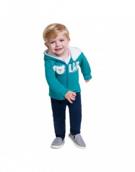 CONJUNTO OSO POLAR