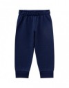 CONJUNTO OSO POLAR