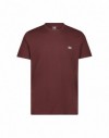 PATCH LOGO TEE VELVET BEET