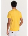 CAMISETA DENIS--ANIS